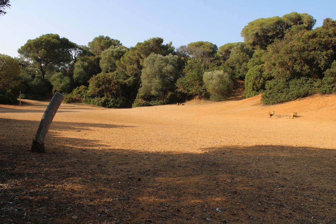 parque de las Canteras en Puerto Real