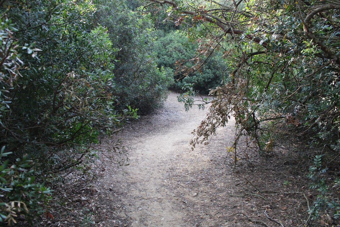 parque de las Canteras en Puerto Real