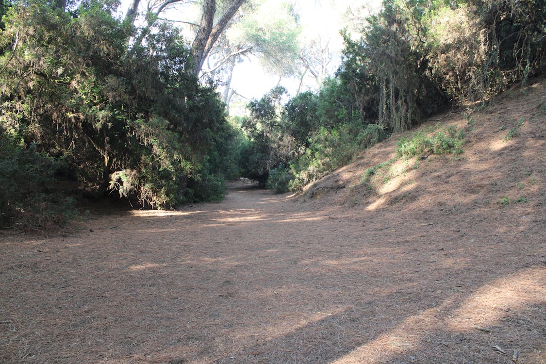 parque de las Canteras en Puerto Real