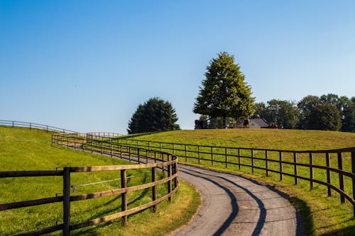 Road with Fence in Green Countryside