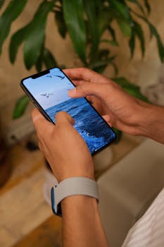 Close-up of hands interacting with a smartphone showing the ocean and birds.