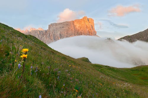 bulut, çim, doğa içeren Ücretsiz stok fotoğraf