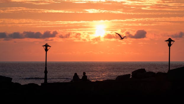 A romantic silhouette of a couple sitting by the ocean at sunset with a bird flying above.