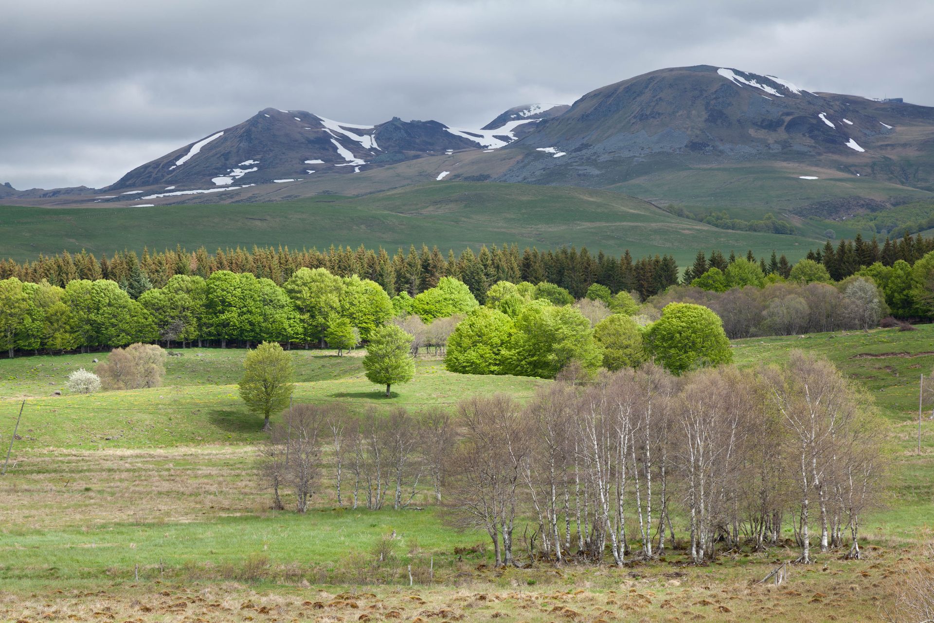 Paysage verdoyant du Mont-Dore avec forêts et sommets en arrière-plan