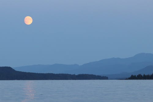 Immagine gratuita di azzurro, bellissimo, calma