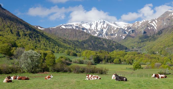 Beuzec-Cap-Sizun