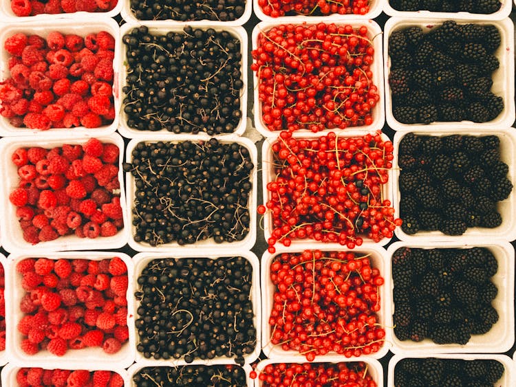 Red And Black Forest Fruits In Disposable Boxes