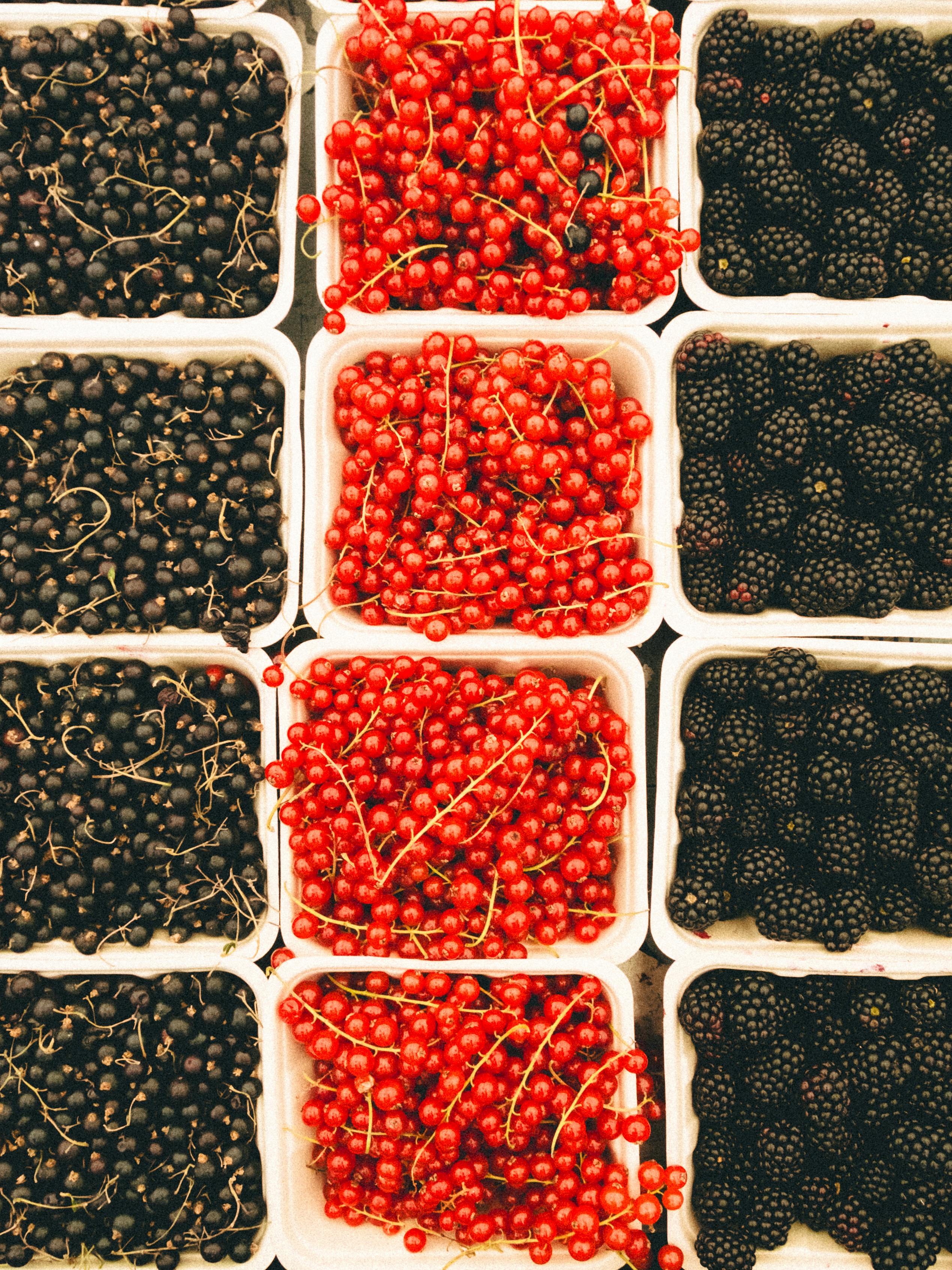 Top view of black currants, red currants, and blackberries in containers.