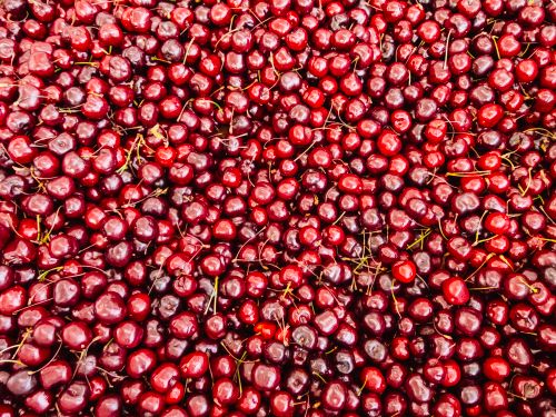 Free A fresh and vibrant display of red cherries offering a delicious and healthy fruit option. Stock Photo