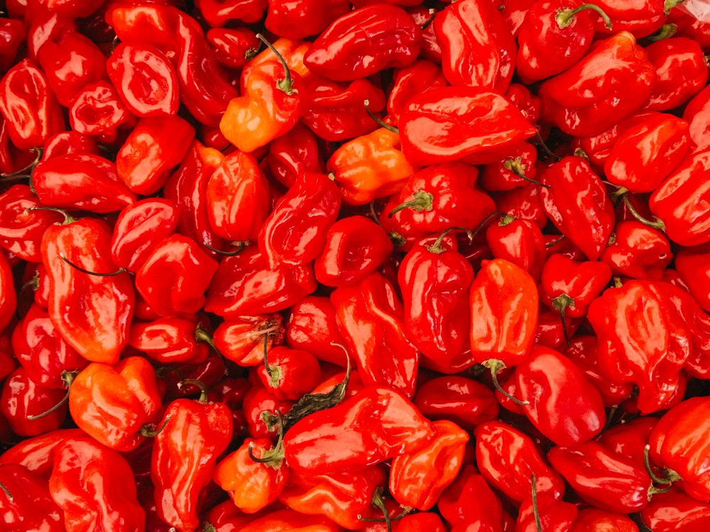 Photo gratuite de abondance, amas, des tas, épicé, piment, piments ...