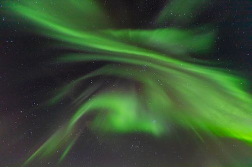 Free Stunning aurora borealis gracefully dancing in the night sky above Lødingen, Norway. Stock Photo