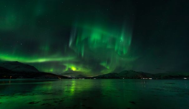 Mesmerizing aurora borealis dancing over a serene lake in Lødingen, Norway at night.