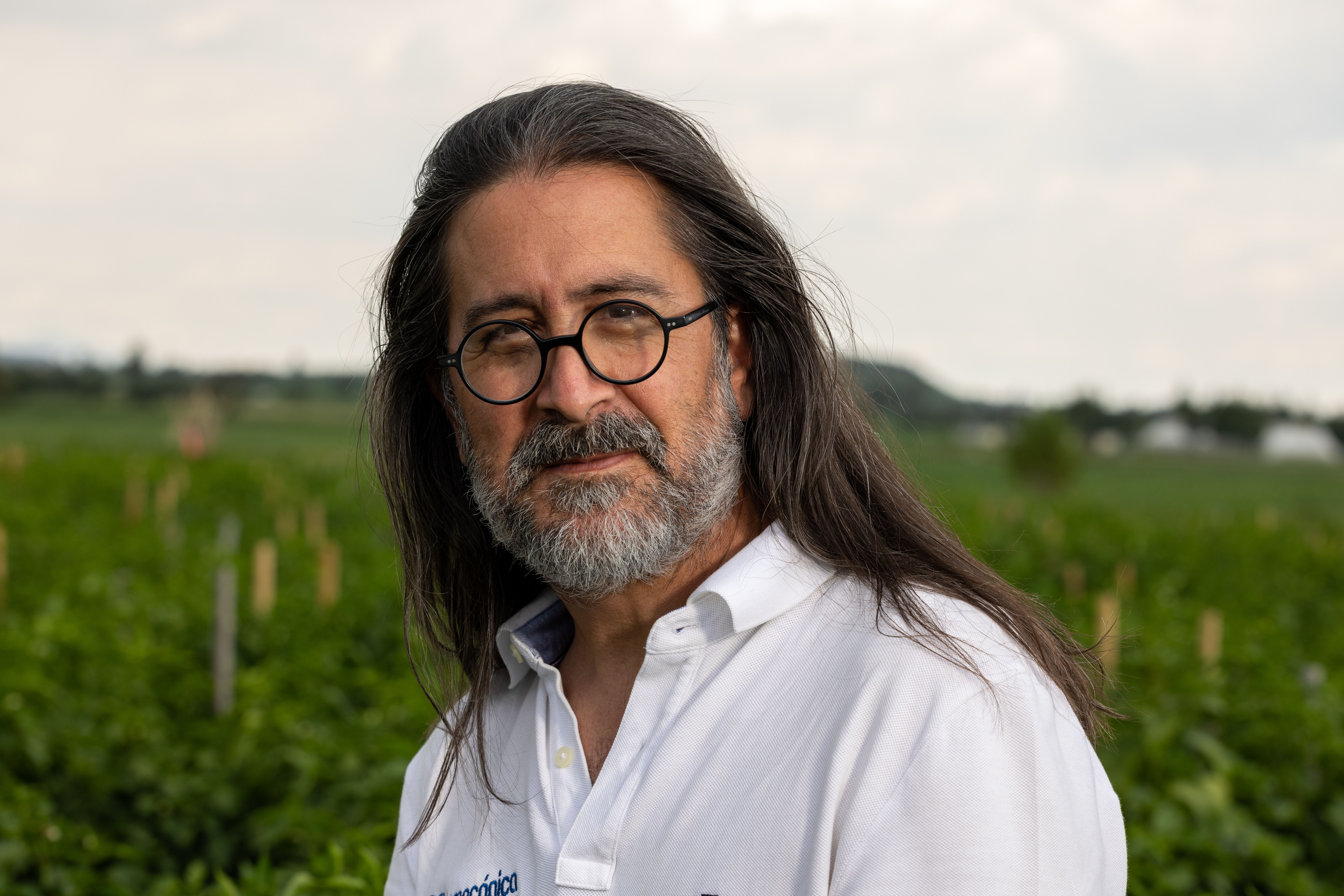 man-in-field-free-stock-photo