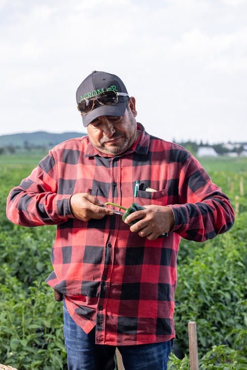 Ingyenes stockfotó farmer, Férfi, függőleges lövés témában