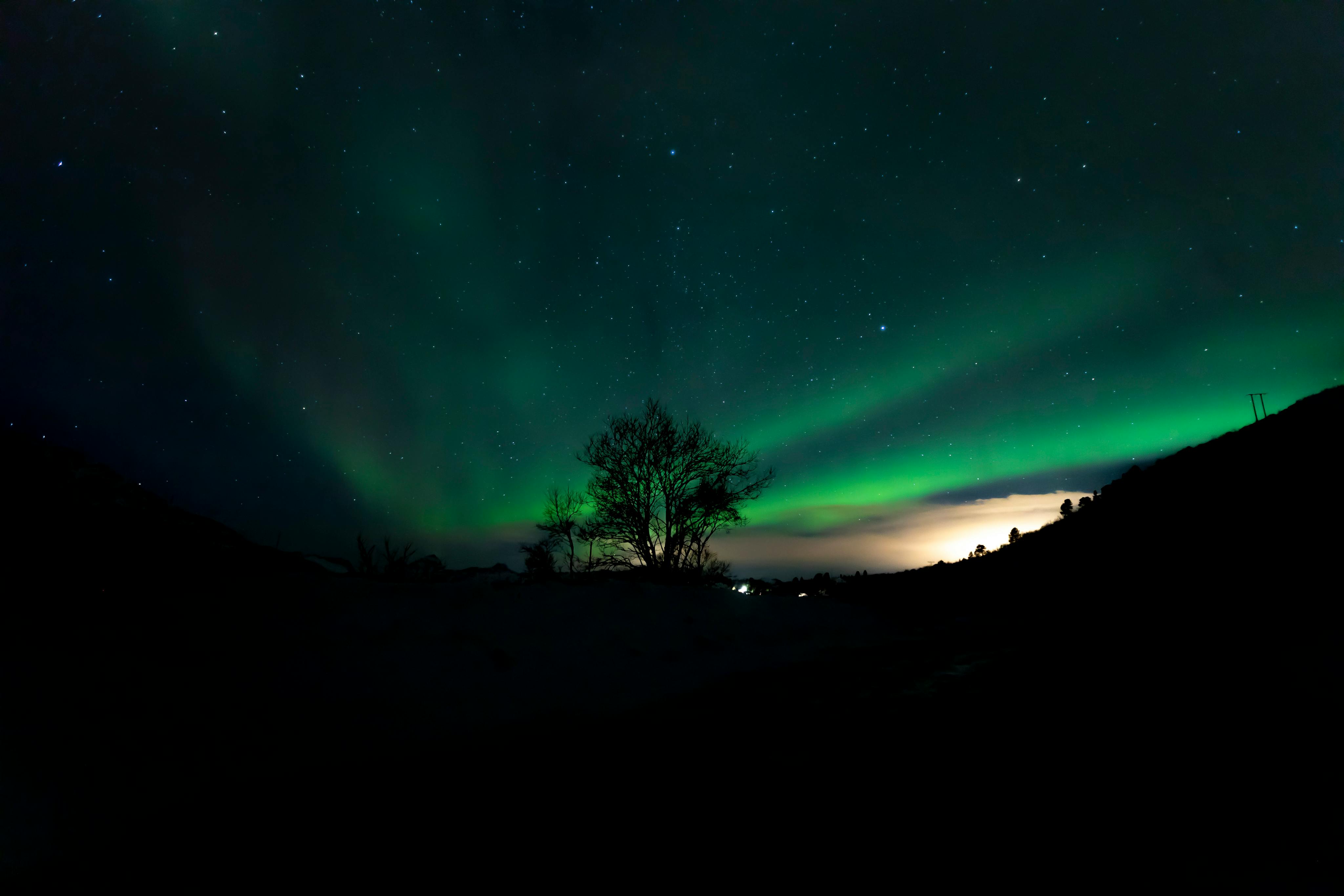 Stunning Northern Lights display over Lødingen, Norway showcasing nature's beauty.