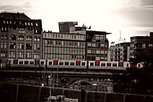 คลังภาพถ่ายฟรี ของ ขาวดำ, ฉากในเมือง, ชีวิตในเมือง