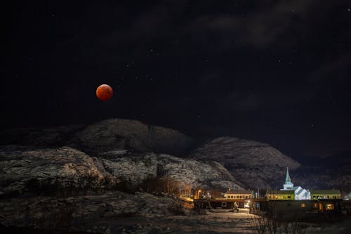 คลังภาพถ่ายฟรี ของ bloodrose, moonlite, moonphotography
