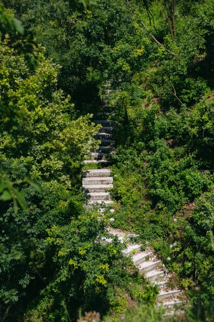 Aerial view of a winding stone staircase in a vibrant, sunlit forest.