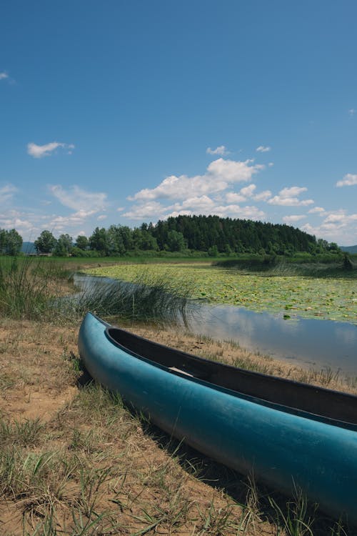 Kostnadsfri bild av bakvatten, blå, flodbank