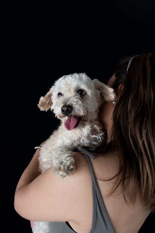 Imagine de stoc gratuită din animale de casă, câine, femeie