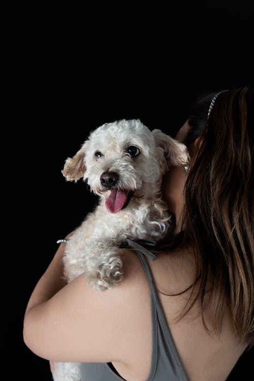 Woman Holding Labradoodle