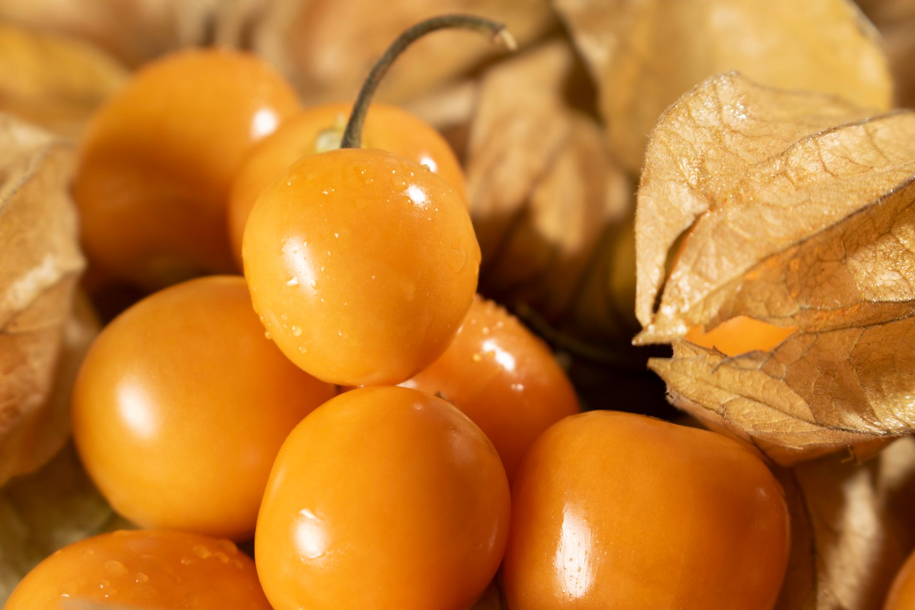 Vivid close-up of ripe golden berries with water droplets, showcasing vibrant colors and natural textures.