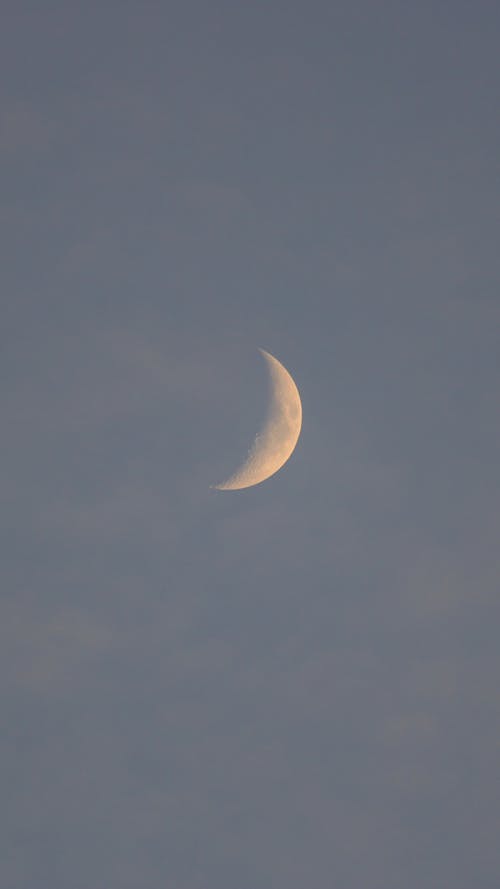 Free stock photo of crescent moon, honeymoon, moon