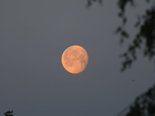 Free stock photo of aesthetic background, aesthetic desktop background, blood moon