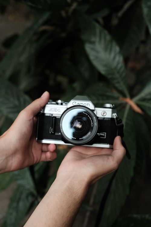 Free Close-up of a Canon AE-1 film camera held by hands with leafy background. Stock Photo