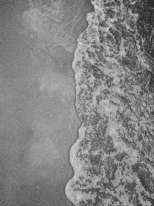 Water Foam on Shore in Black and White