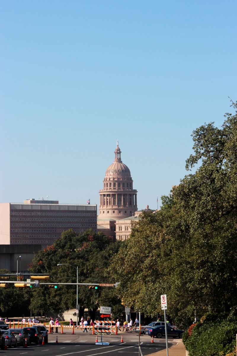 Dome of the Texas State Capitol rising above trees in Austin