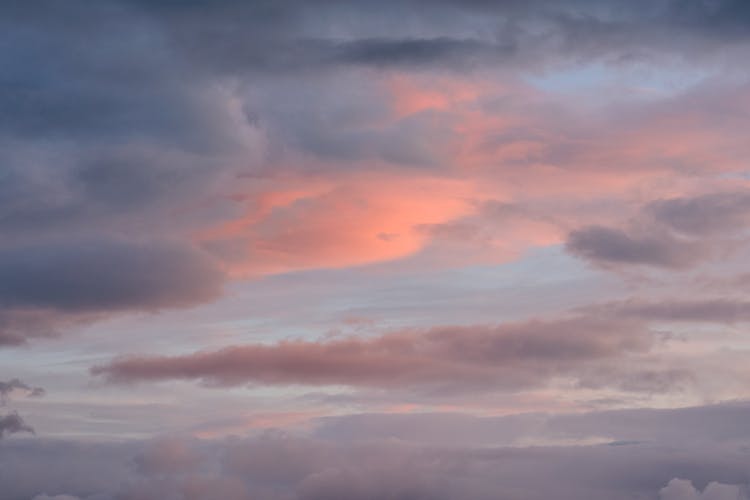 Pink Clouds In Sky