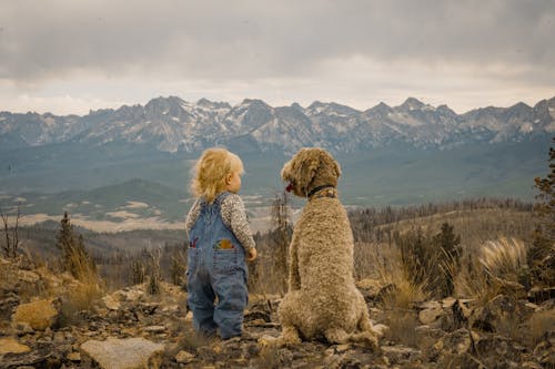 Blonde Child with Dog in Mountains