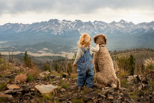 Little Girl with a Dog in a Mountain Valley