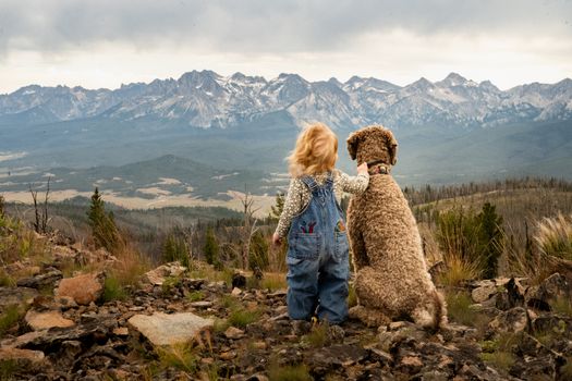 A child in denim overalls hugs a dog while gazing at a breathtaking mountain view.