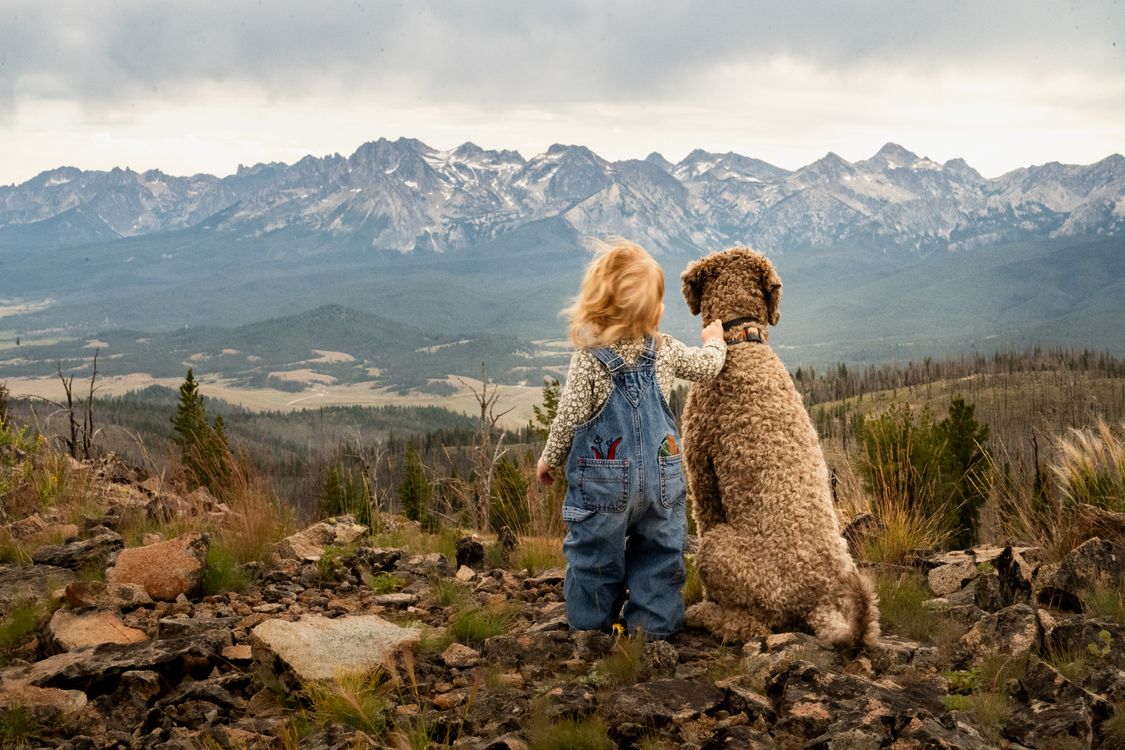 Little Girl with a Dog in a Mountain Valley · Free Stock Photo