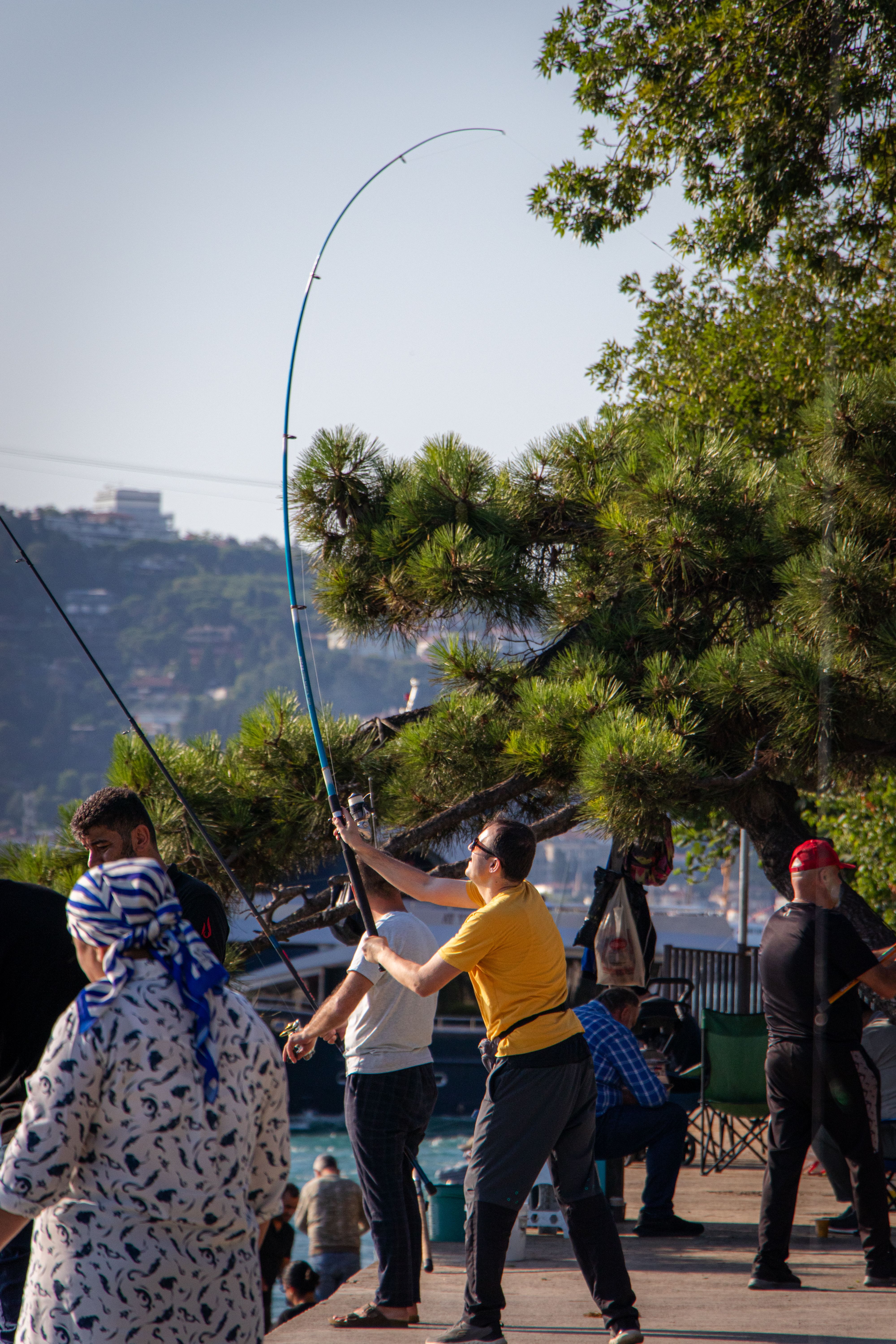 Men with Fishing Rods · Free Stock Photo