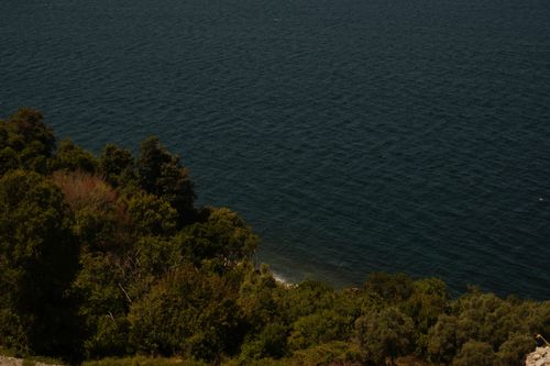 Free View of lush greenery along a tranquil ocean coastline under the summer sun. Stock Photo