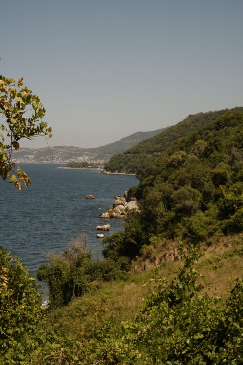 Free A scenic view of hills and the seashore with lush greenery in summer. Perfect for travel themes. Stock Photo