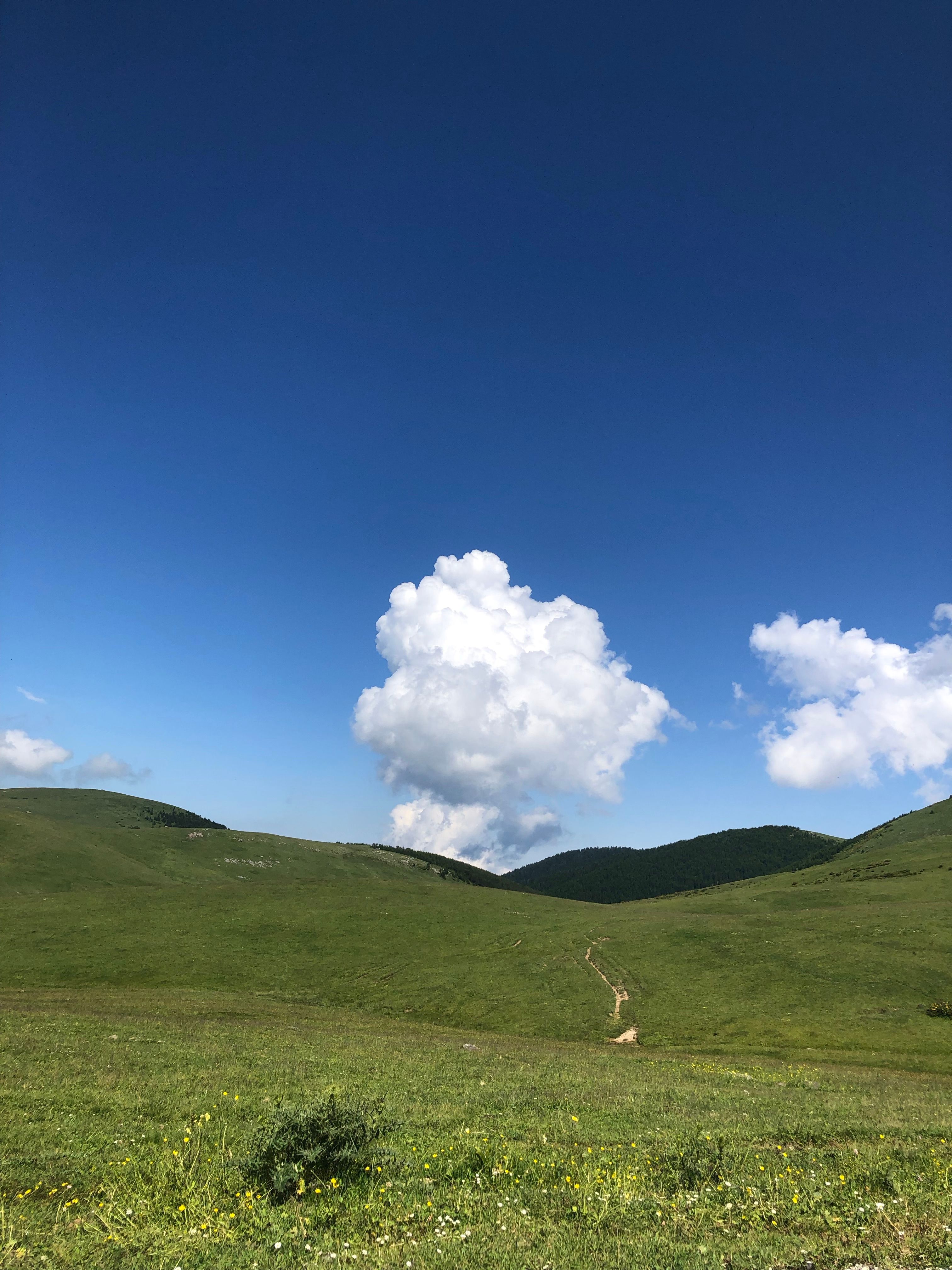 Captivating view of green hills and fluffy clouds in Trabzon, Türkiye.