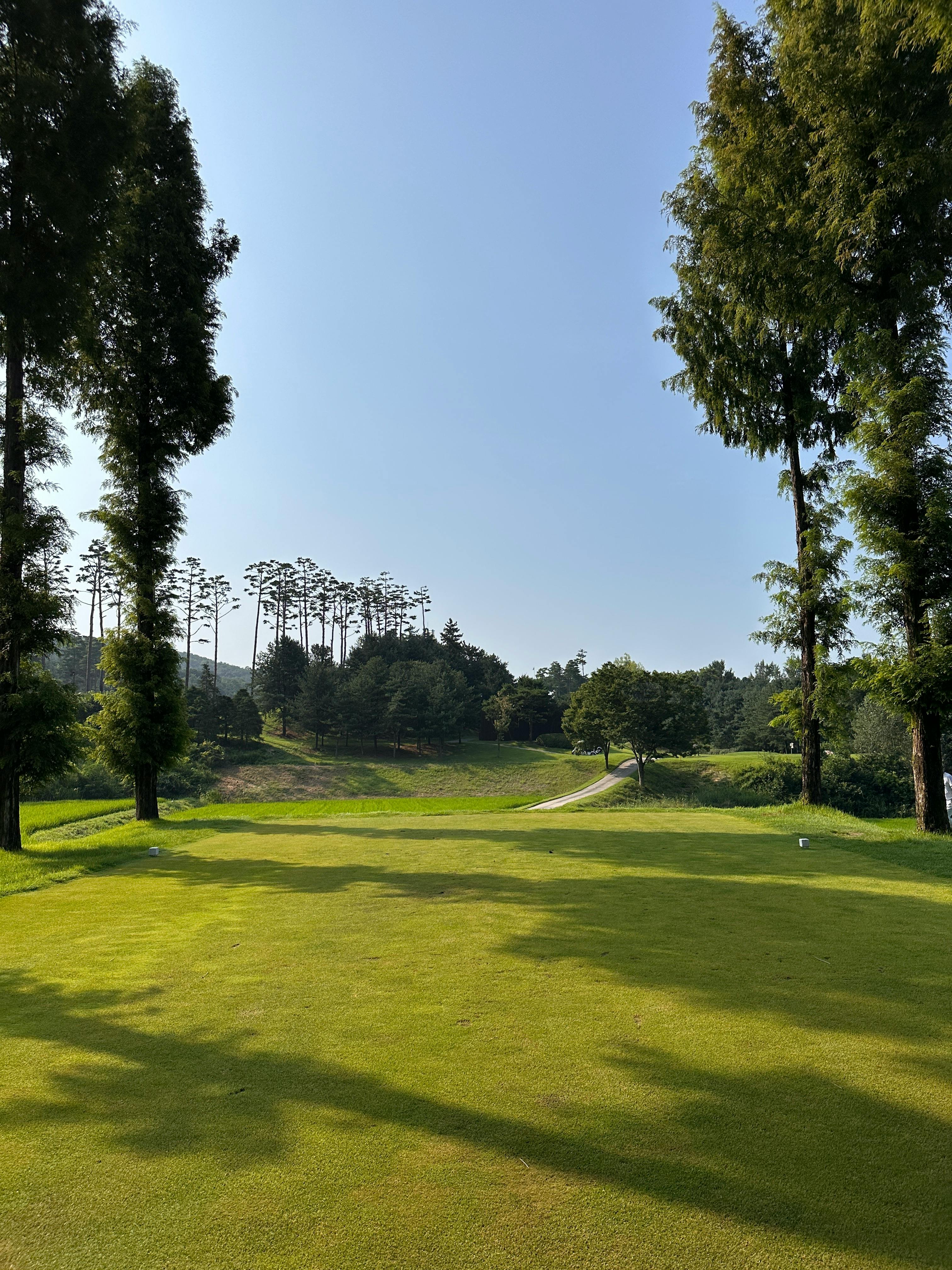 lawn on golf course