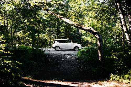 Základová fotografie zdarma na téma asfalt, auto, cesta