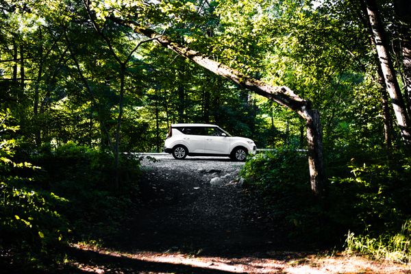 Private Car Transfer to Thekkady