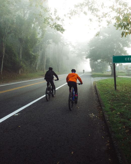 Two cyclists ride on a foggy road through a forested area, showcasing outdoor adventure.