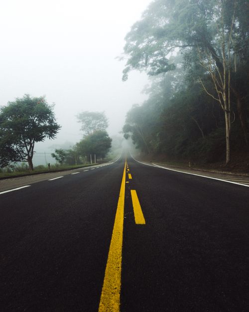Free Empty asphalt road with yellow lines winding through a foggy forest landscape. Stock Photo