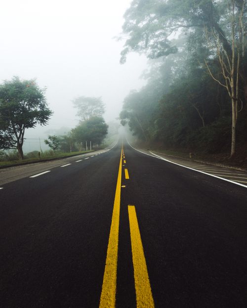 Free A foggy road flanked by trees creates a mysterious and tranquil travel scene. Stock Photo