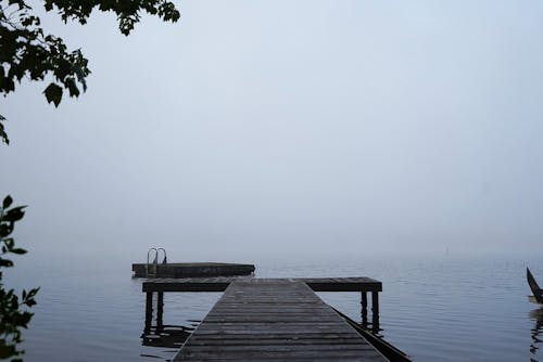 Бесплатное стоковое фото с fogo island, густой туман, заводь