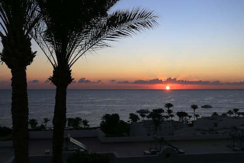 Tropical Beach During Sunset