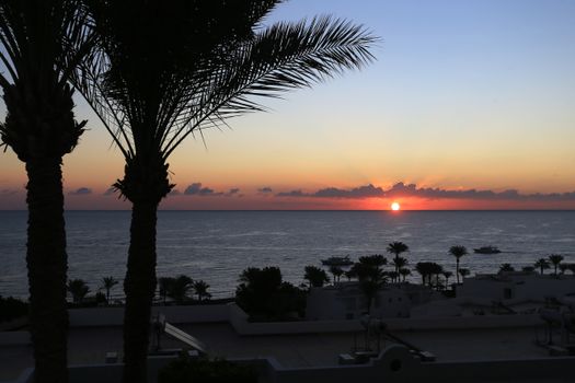 Capture the serene beauty of a tropical sunset over a palm-lined seascape, creating a perfect vacation vibe.