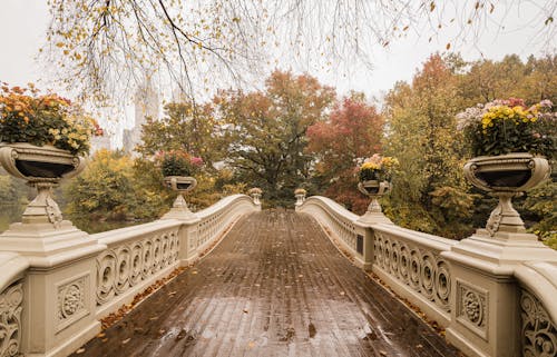 Kostnadsfri bild av båge bro, blommor, central parken